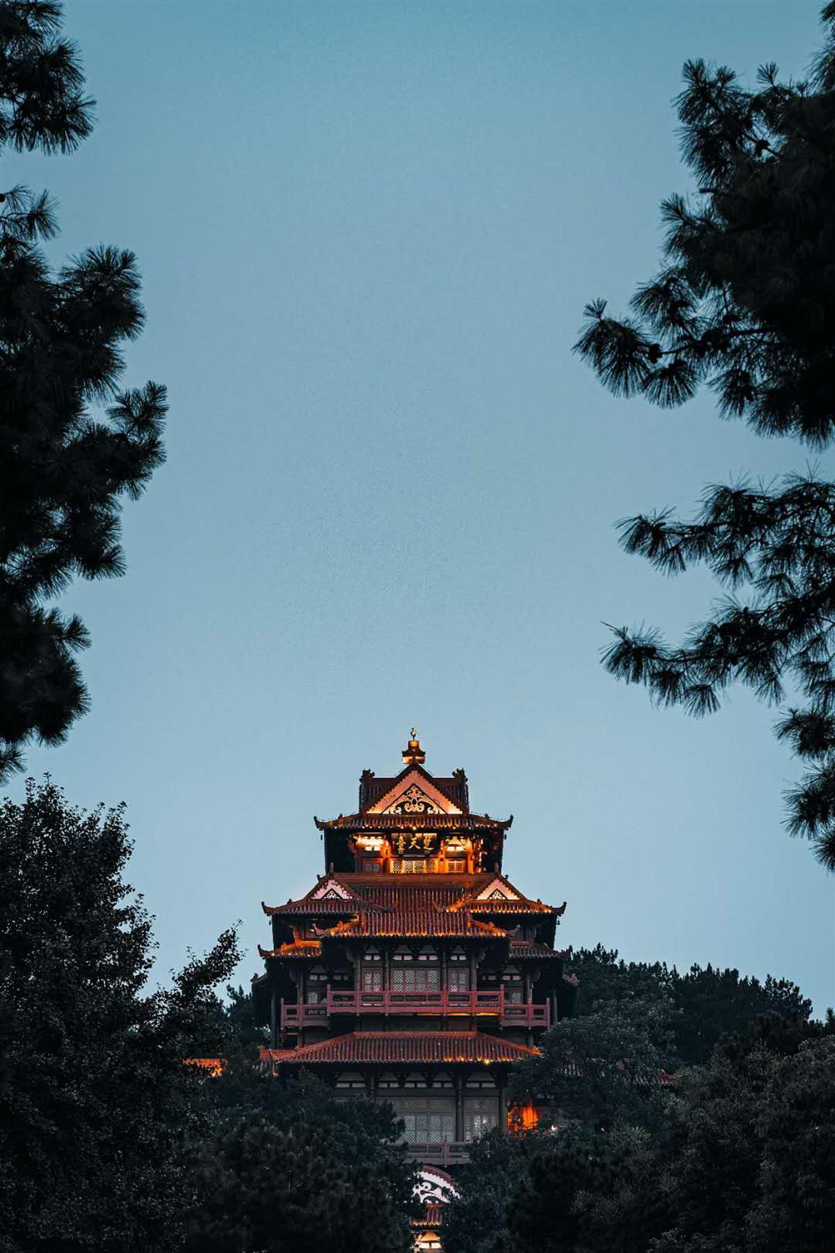 天龙集团 柬埔寨